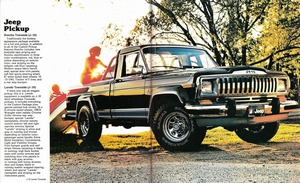 1981 Jeep Pickup-06-07.jpg